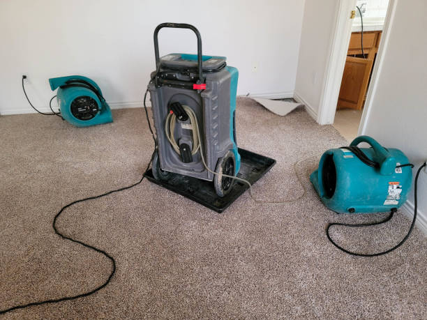 Best Water damage restoration mold remediation  in South Blooming Grove, NY