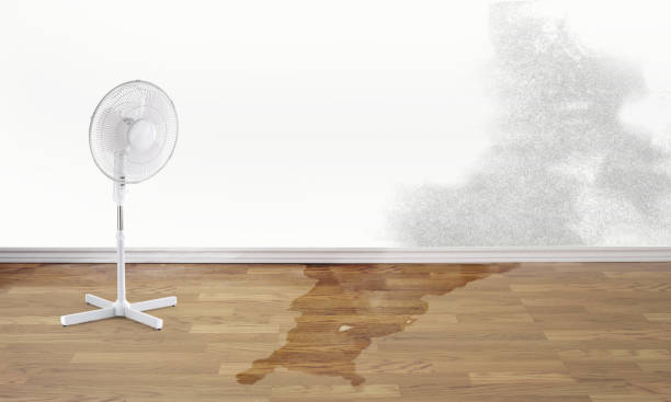 Best Water damage contractors near me  in South Blooming Grove, NY